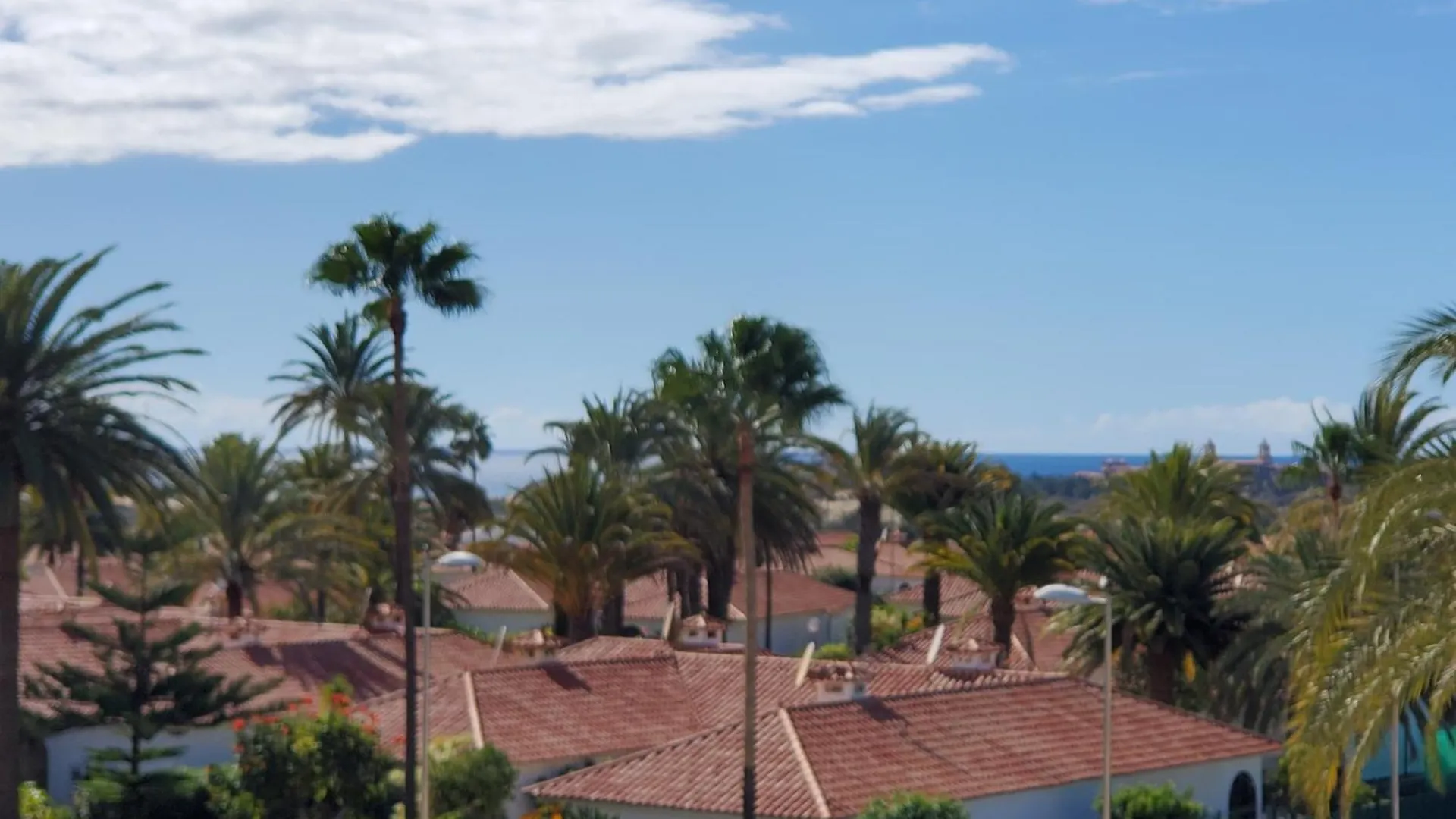 Las Camelias Apartments V19 Playa del Ingles