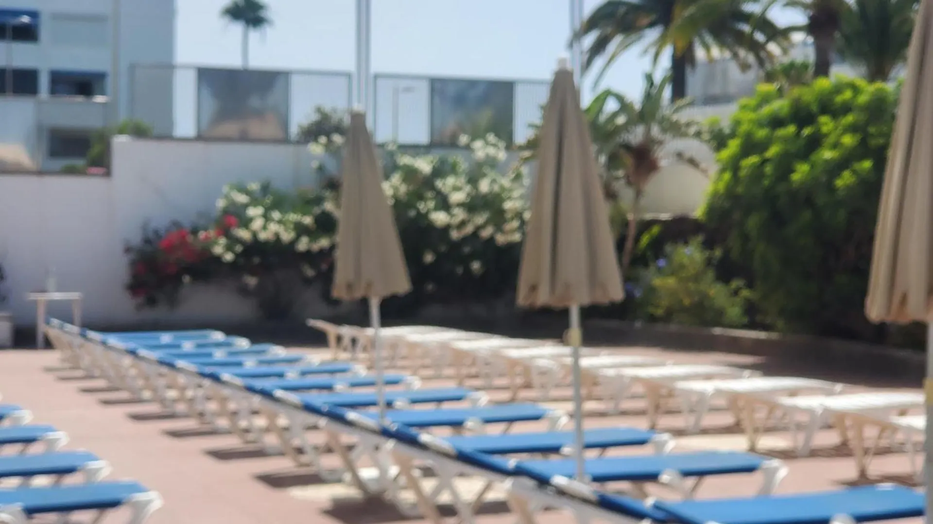 Las Camelias Apartments V19 Playa del Ingles  0*, Playa del Ingles (Gran Canaria)