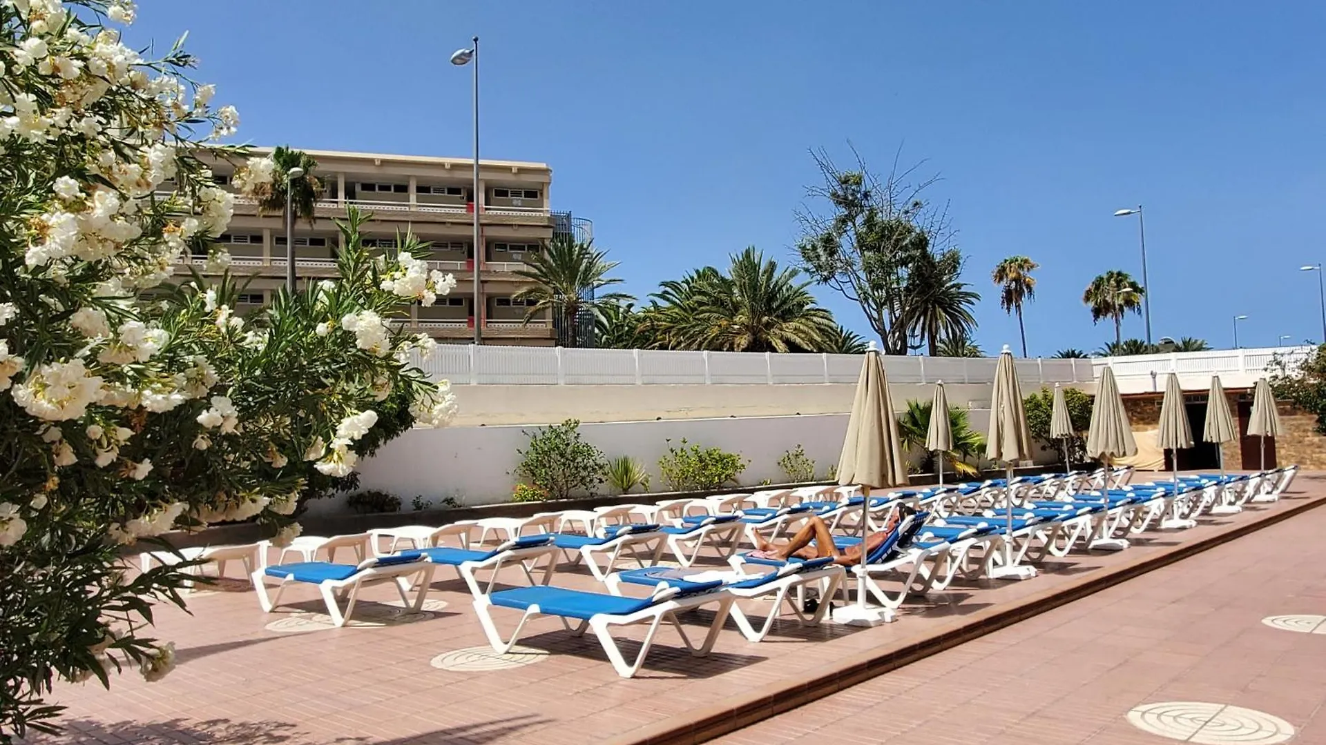 Las Camelias Apartments V19 Playa del Ingles  Playa del Ingles (Gran Canaria)